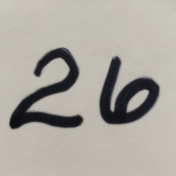 Joe's Jeans The Icon Ankle Jeans Delana Embroidered Patchwork Slim Blue Size W29 - Picture 12 of 12